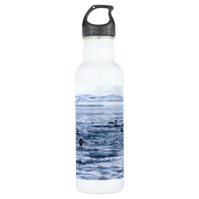 Flying penguin 710 ml water bottle (Front)