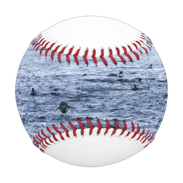 Flying penguin baseball (Front)