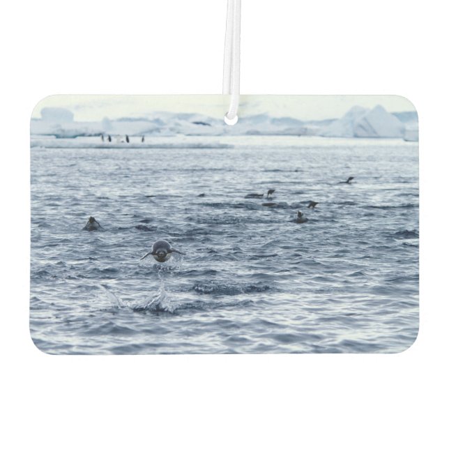 Flying penguin car air freshener (Back)