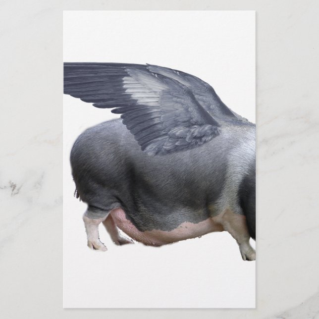 flying pig (Front)