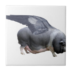 flying pig ceramic tile