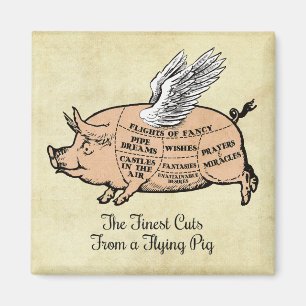 Flying Pig Cuts Magnet