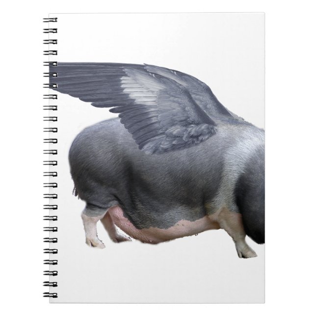 flying pig notebook (Front)