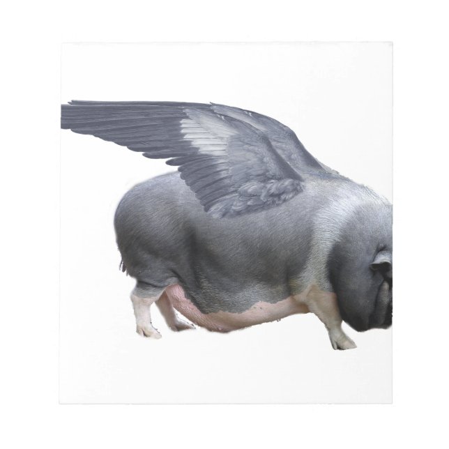 flying pig notepad (Front)