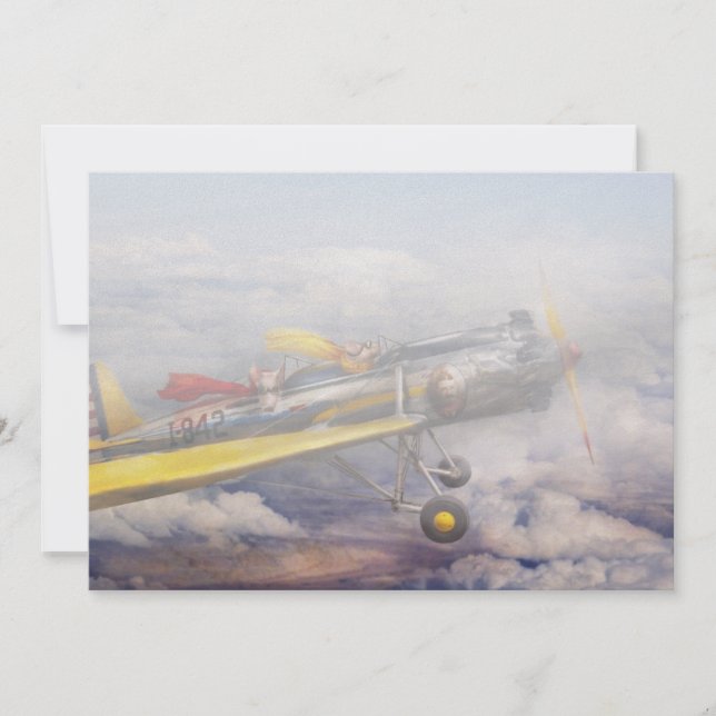 Flying Pig - Plane -The joy ride (Front)