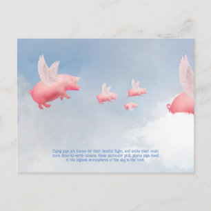 Flying Pig Postcard