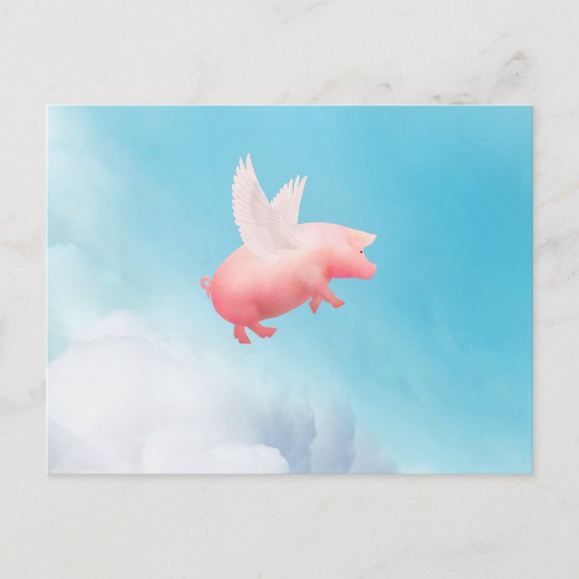 Flying Pig Postcard (Front)