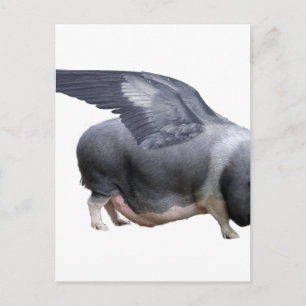 flying pig postcard