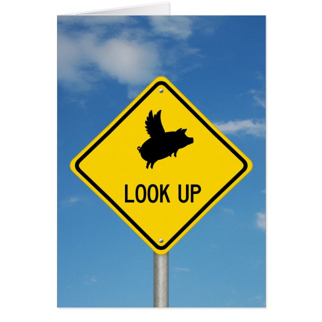 Flying Pig Road Sign (Front)