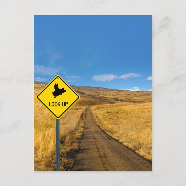 Flying Pig Road Sign Postcard (Front)