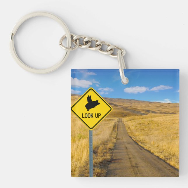 Flying Pig Sign Key Ring (Front)