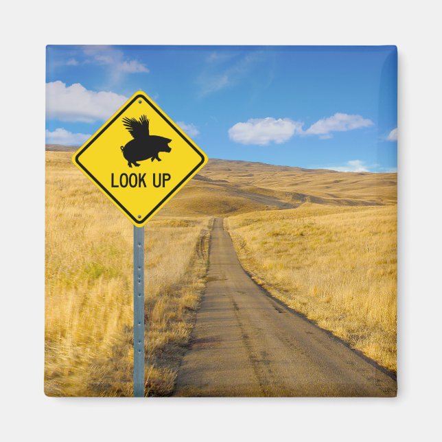 Flying Pig Sign Magnet (Front)