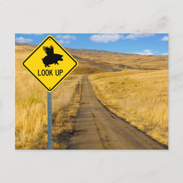 Flying Pig Sign Postcard (Front)