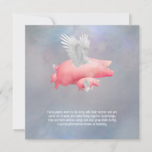 Flying piglets card