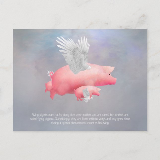 Flying Piglets Postcard (Front)