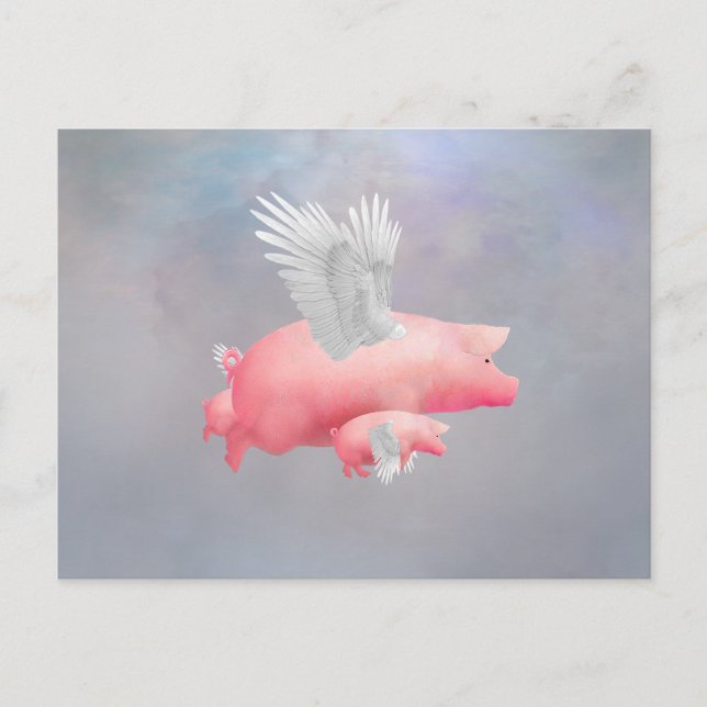 Flying Piglets Postcard (Front)