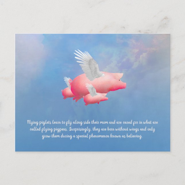 Flying Piglets Postcard (Front)