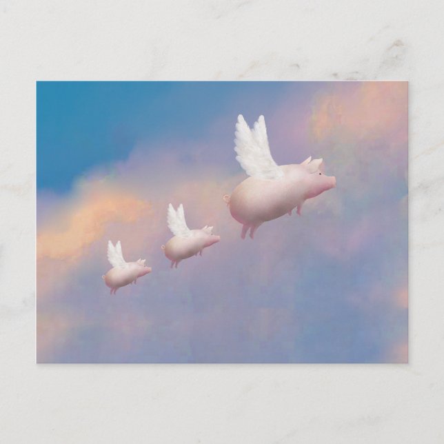 flying piglets postcard (Front)