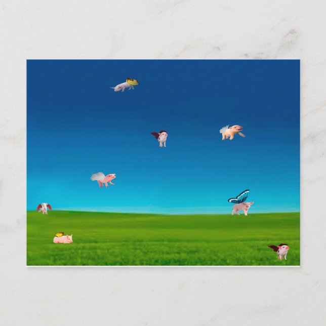 Flying Pigs Postcard (Front)