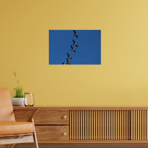 Flying Poster