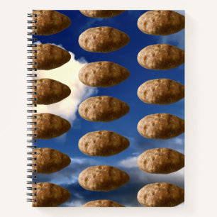 Flying Potatoes Space Potato Invasion Notebook