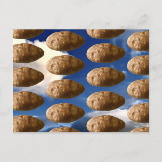 Flying Potatoes Space Potato Postcard