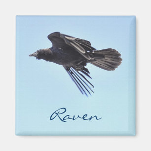 Flying Raven in Blue Sky HDR Photo Design Magnet