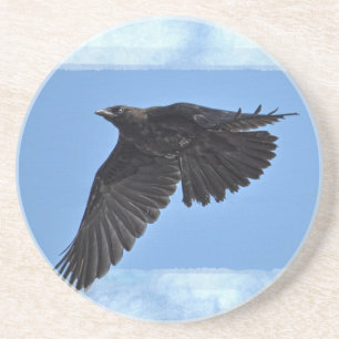 Flying Raven Modern Art in Blue Coaster