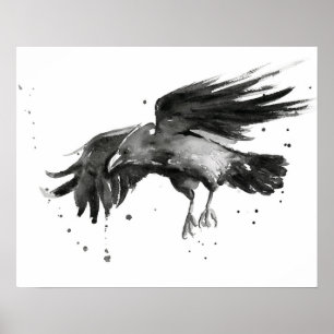 Flying Raven Painting Watercolor Poster Print