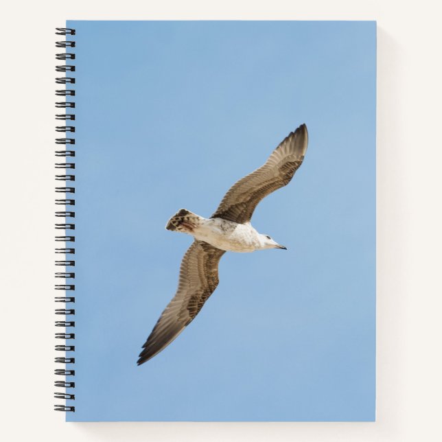 Flying seagull notebook (Front)