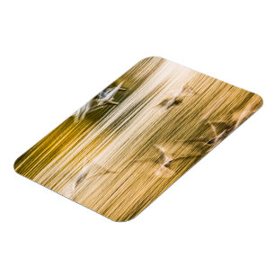 Flying seagulls - abstract magnet