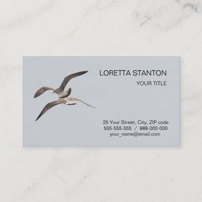 Flying seagulls business card (Front)