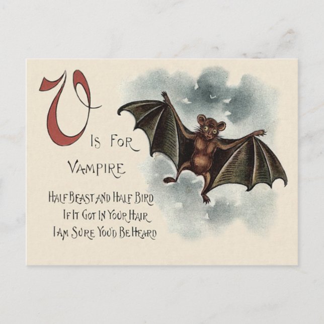 Flying Silly Goofy Vampire Bat Postcard (Front)