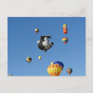 Flying Skunk Postcard