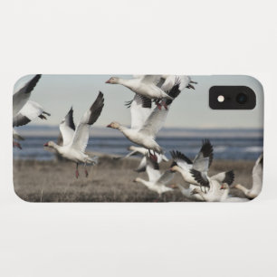 Flying Snow Geese iPhone XR Case