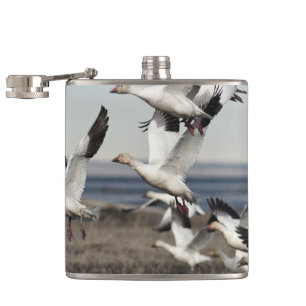 Flying Snow Geese Hip Flask