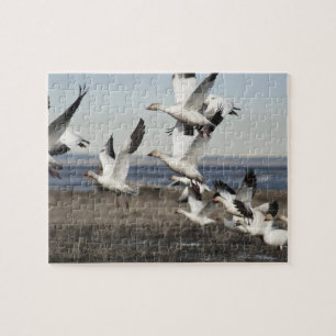 Flying Snow Geese Jigsaw Puzzle