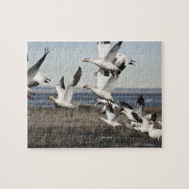 Flying Snow Geese Jigsaw Puzzle (Horizontal)