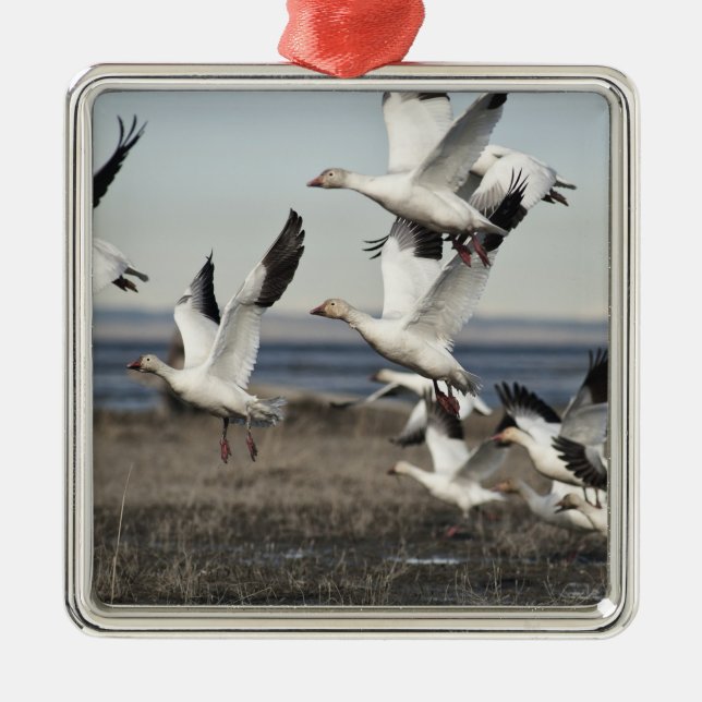Flying Snow Geese Metal Tree Decoration (Front)