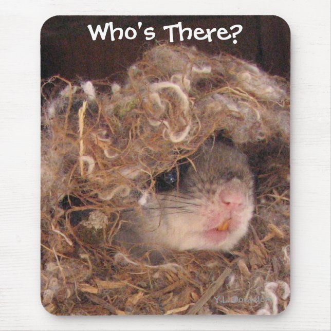 Flying Squirrel Mousepad (Front)