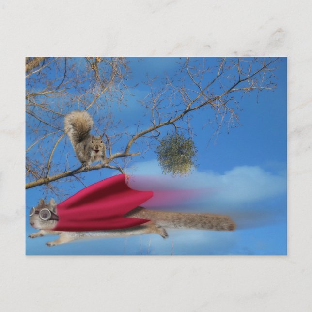 Flying Squirrel Postcard (Front)