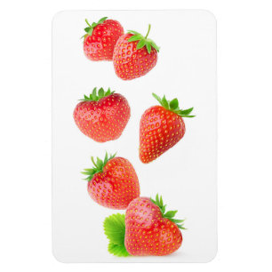 Flying strawberries magnet