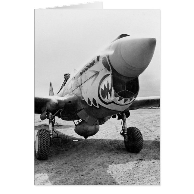 Flying Tigers P-40 Warhawk, 1941 (Front)