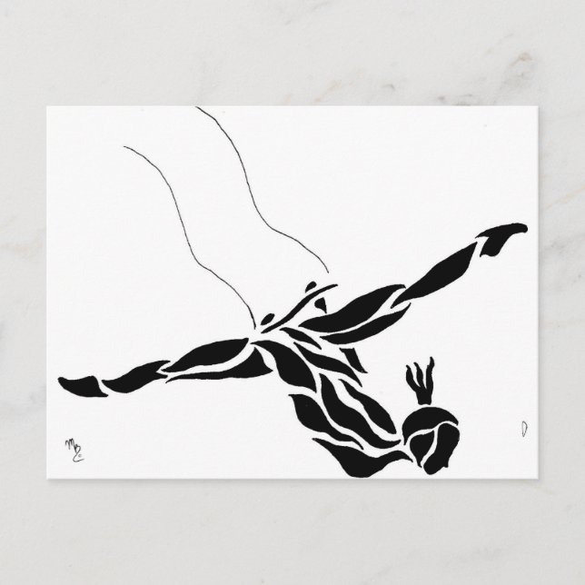 Flying Trapeze Splits Postcard (Front)