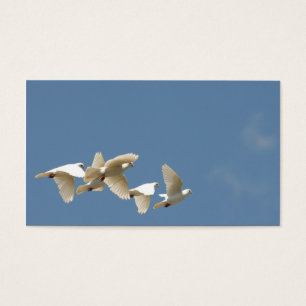 Flying white doves