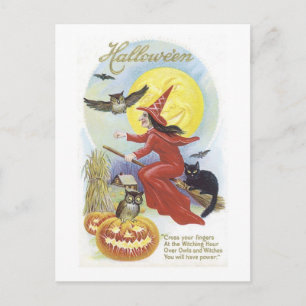 Flying Witch, Bats, Cat, Owl Moon Postcard