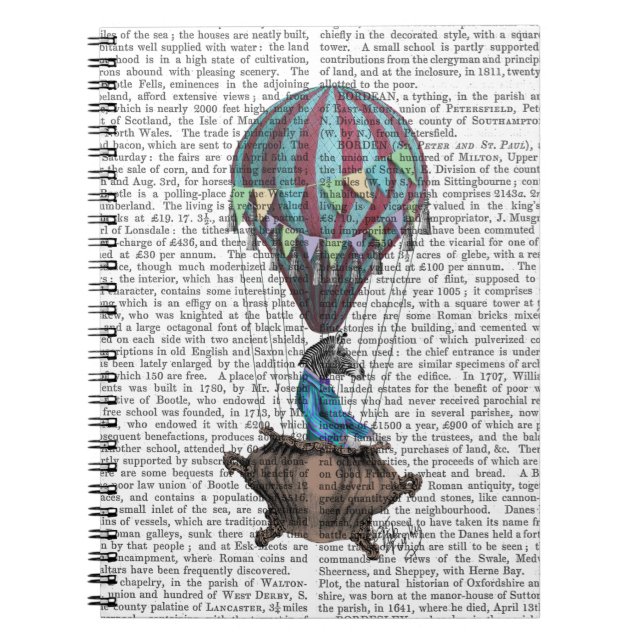 Flying Zebra Notebook (Front)