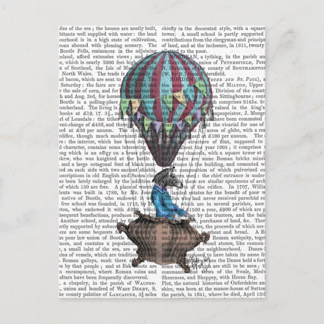 Flying Zebra Postcard (Front)