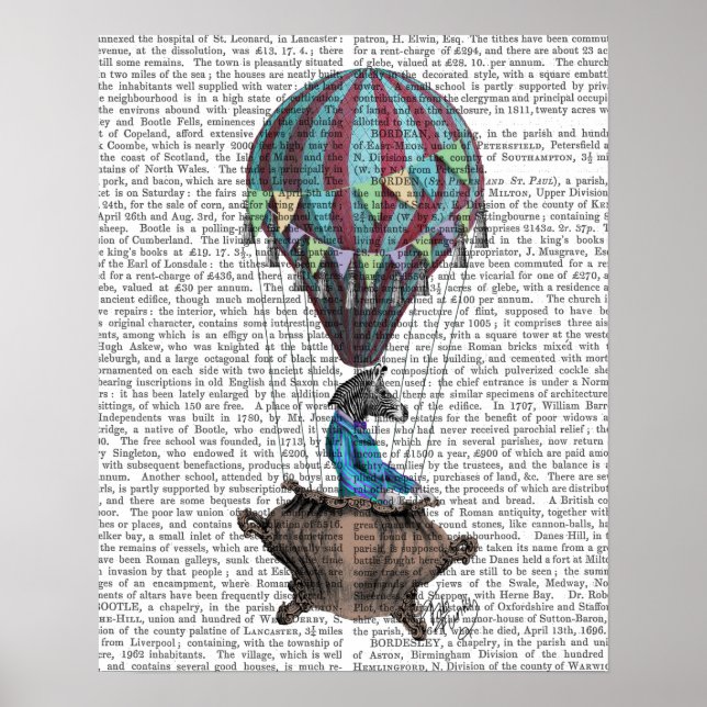 Flying Zebra Poster (Front)