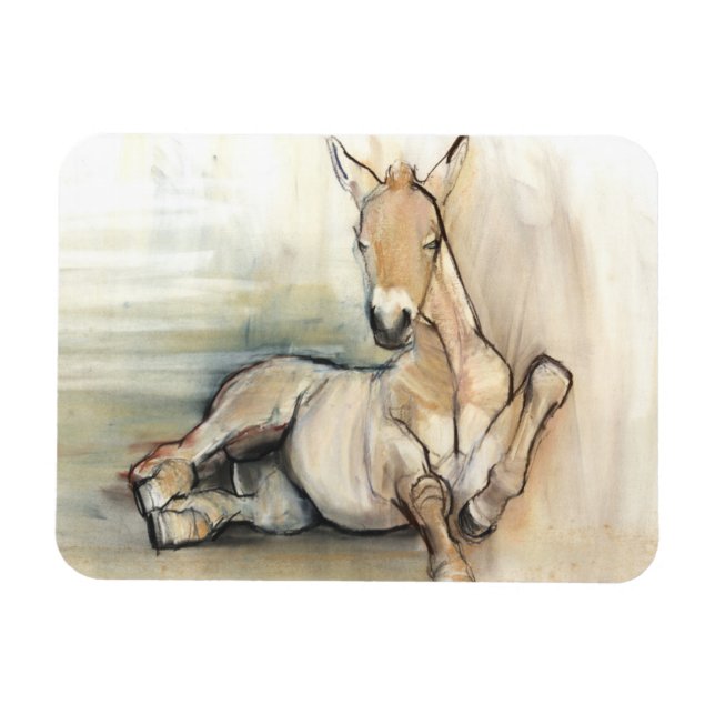 Foal 2012 magnet (Horizontal)